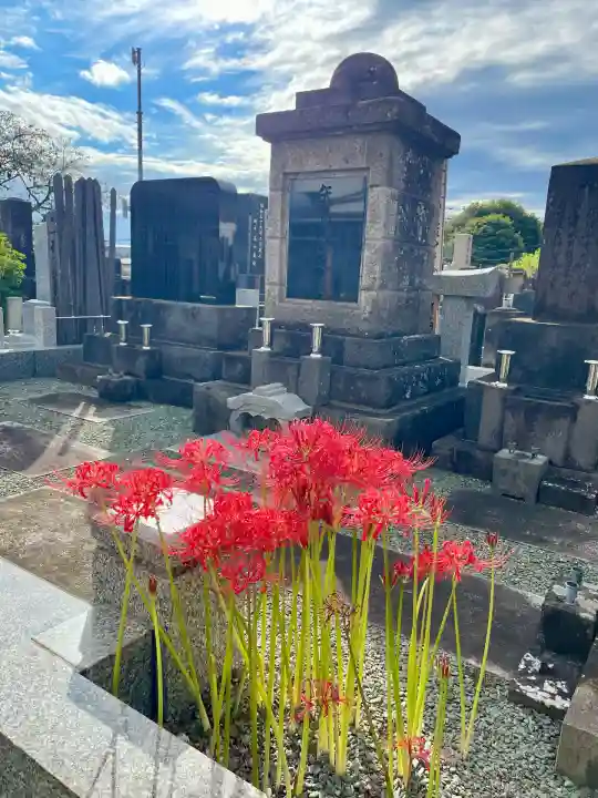 花蔵院(東京都)