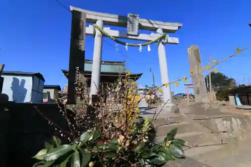 熊野福藏神社の鳥居