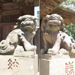 下総国三山　二宮神社の狛犬