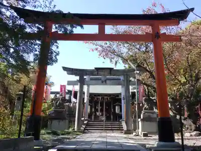 花山稲荷神社の鳥居