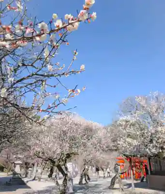 綱敷天満宮の{uncategorized: "未分類", other: "その他", undefined: "問題あり", building: "その他建物", grave: "お墓", sacred_gate: "鳥居", guardian: "狛犬", statue: "像", buddha: "仏像", history: "歴史", nature: "自然", garden: "庭園", animal: "動物", pagoda: "塔", temizu: "手水舎", mountain_gate: "山門・神門", sanctuary: "本殿・本堂", subordinate: "末社・摂社", art: "芸術", scenery: "景色", jizo: "地蔵", ema: "絵馬", goshuin: "御朱印", omikuji: "おみくじ", items: "授与品その他", amulet: "お守り", goshuincho: "御朱印帳", eats: "食事", festival: "お祭り", votive_dance: "神楽", shichigosan: "七五三参", wedding: "結婚式", experience: "体験その他", initially: "初詣", around: "周辺", anti_infection: "感染症対策"}