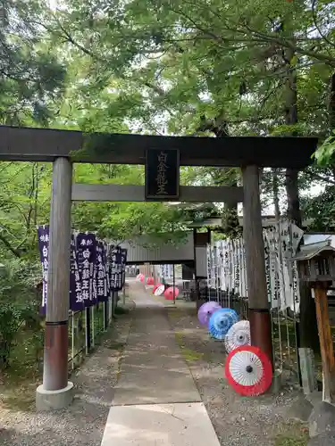 白金龍王社(愛知県)