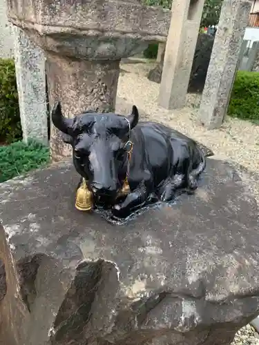 大松禅寺の狛犬