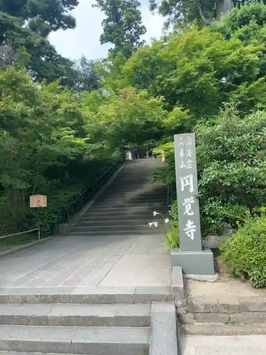 円覚寺の{uncategorized: "未分類", other: "その他", undefined: "問題あり", building: "その他建物", grave: "お墓", sacred_gate: "鳥居", guardian: "狛犬", statue: "像", buddha: "仏像", history: "歴史", nature: "自然", garden: "庭園", animal: "動物", pagoda: "塔", temizu: "手水舎", mountain_gate: "山門・神門", sanctuary: "本殿・本堂", subordinate: "末社・摂社", art: "芸術", scenery: "景色", jizo: "地蔵", ema: "絵馬", goshuin: "御朱印", omikuji: "おみくじ", items: "授与品その他", amulet: "お守り", goshuincho: "御朱印帳", eats: "食事", festival: "お祭り", votive_dance: "神楽", shichigosan: "七五三参", wedding: "結婚式", experience: "体験その他", initially: "初詣", around: "周辺", anti_infection: "感染症対策"}
