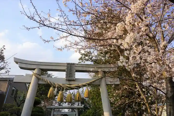 上青木氷川神社の鳥居