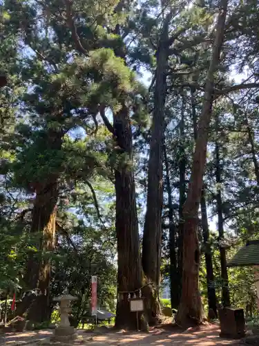 高藏寺(宮城県)