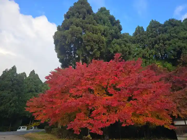 酒波寺(滋賀県)
