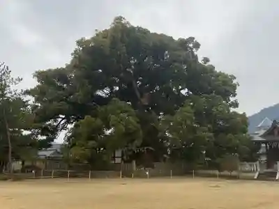 善通寺(香川県)
