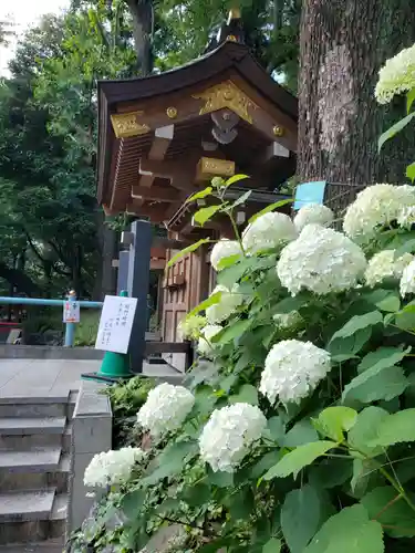 熊野神社の自然