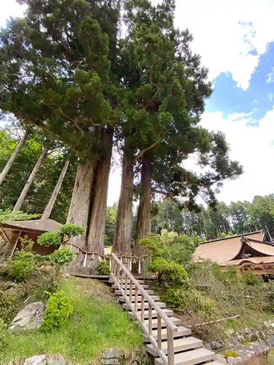 金剛三昧院(和歌山県)