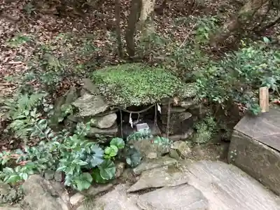大泉神社(徳島県)