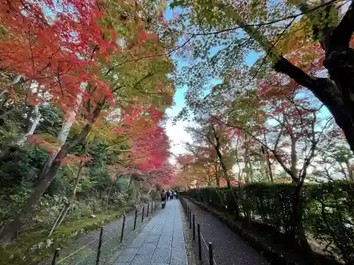 光明寺（粟生光明寺）(京都府)