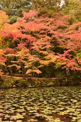 天授庵(京都府)