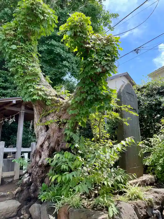 由比若宮(元鶴岡八幡宮)(神奈川県)