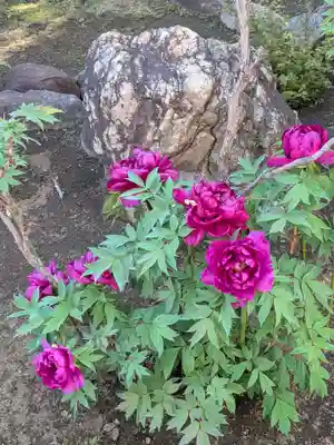 禅定院(東京都)