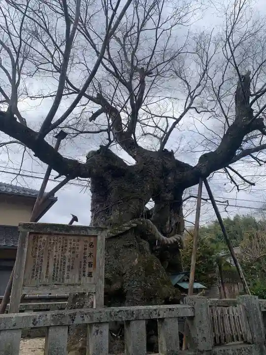 中山神社(岡山県)