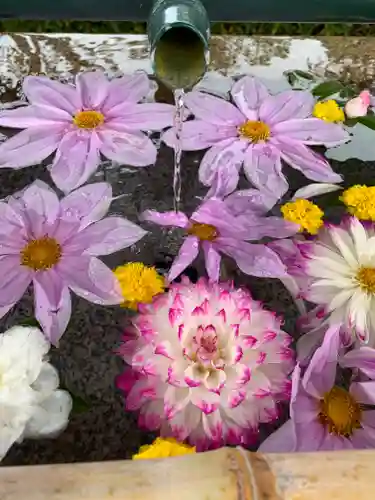 伊和志津神社(兵庫県)