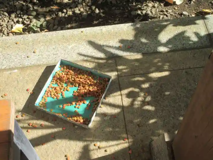 相模國分寺(神奈川県)