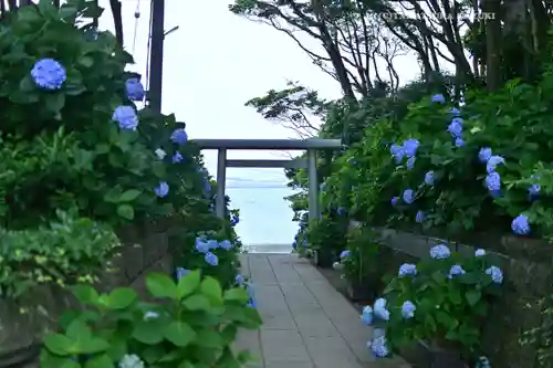 酒列磯前神社(茨城県)
