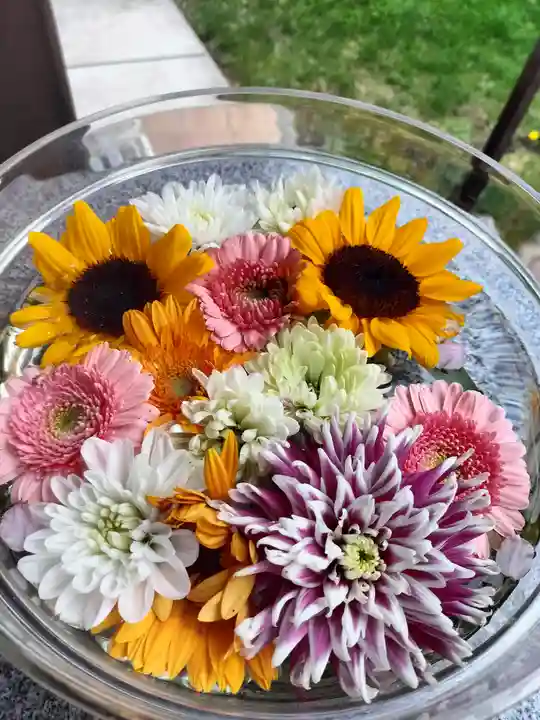 新川皇大神社の芸術