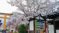 平野神社の建物その他