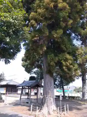 守公神社(愛知県)