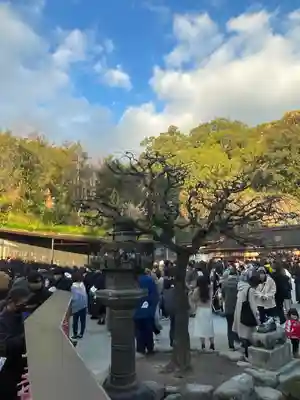 太宰府天満宮(福岡県)