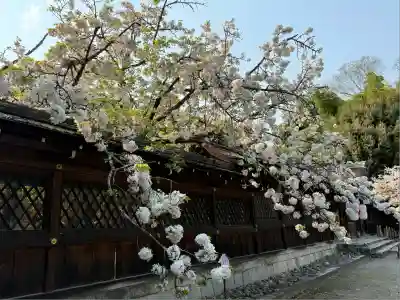 平野神社(京都府)