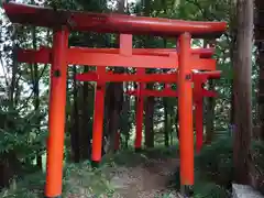 烏子稲荷神社(群馬県)