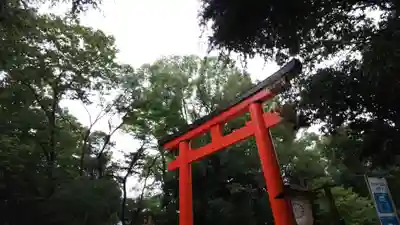 賀茂御祖神社（下鴨神社）(京都府)
