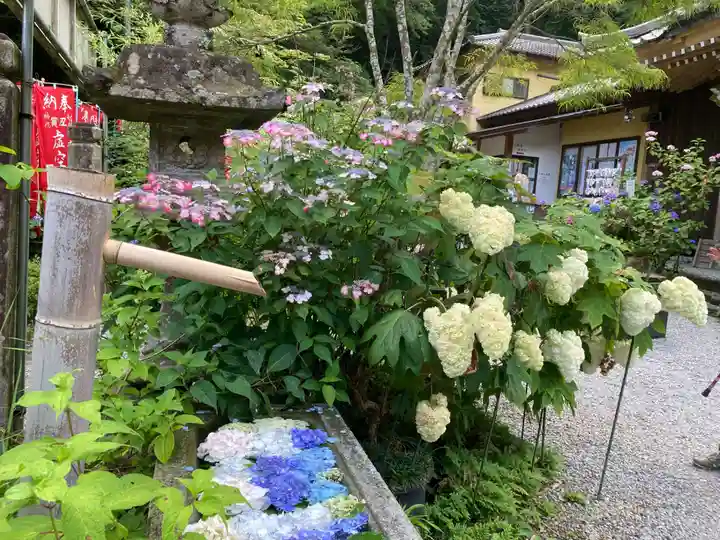 連祥院(栃木県)