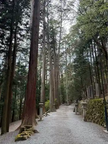 三峯神社(埼玉県)