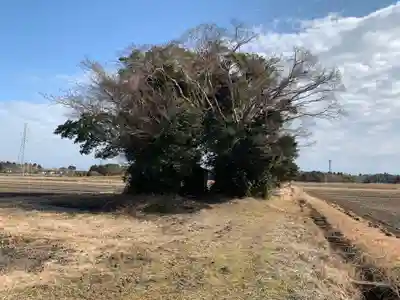 毘沙門社(千葉県)