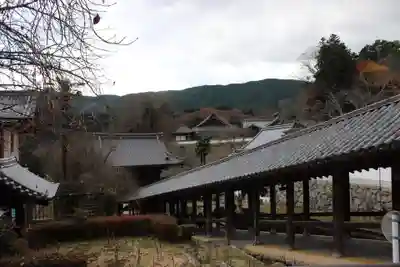 長谷寺の本殿・本堂