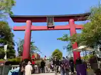 亀戸天神社の鳥居