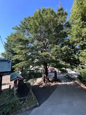 滝野川八幡神社(東京都)