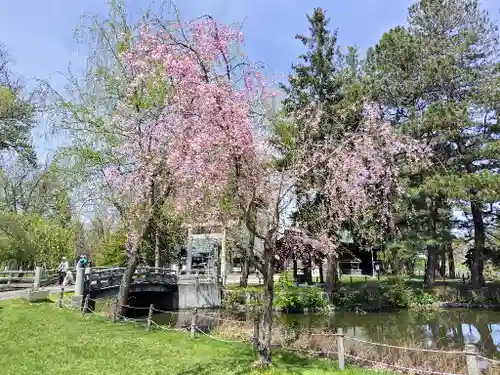 上川神社頓宮の自然