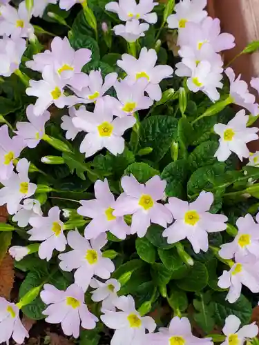 阿邪訶根神社(福島県)