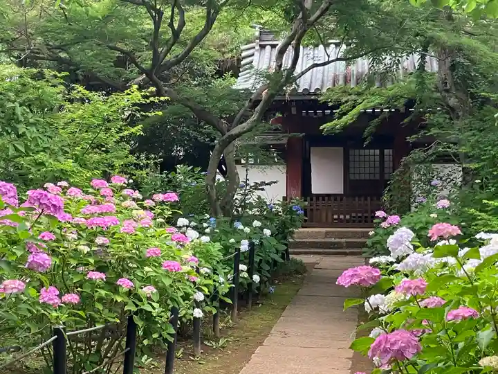 本土寺(千葉県)