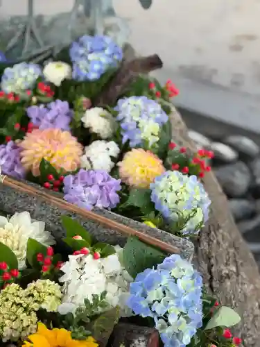 白鷺神社の御朱印