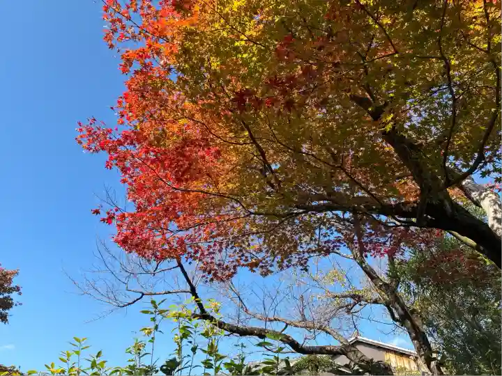 大雄院(京都府)
