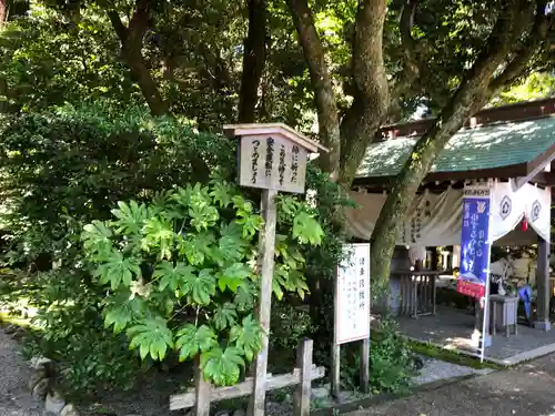白山比咩神社のその他建物