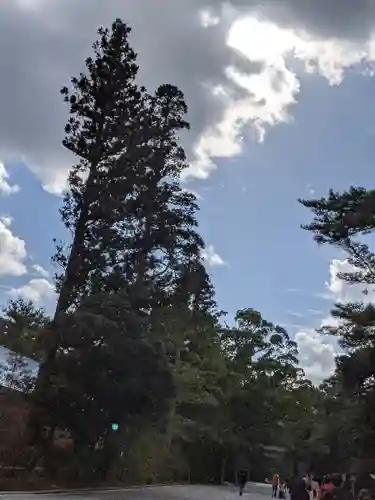 伊勢神宮内宮（皇大神宮）(三重県)