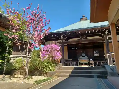 清照寺の{uncategorized: "未分類", other: "その他", undefined: "問題あり", building: "その他建物", grave: "お墓", sacred_gate: "鳥居", guardian: "狛犬", statue: "像", buddha: "仏像", history: "歴史", nature: "自然", garden: "庭園", animal: "動物", pagoda: "塔", temizu: "手水舎", mountain_gate: "山門・神門", sanctuary: "本殿・本堂", subordinate: "末社・摂社", art: "芸術", scenery: "景色", jizo: "地蔵", ema: "絵馬", goshuin: "御朱印", omikuji: "おみくじ", items: "授与品その他", amulet: "お守り", goshuincho: "御朱印帳", eats: "食事", festival: "お祭り", votive_dance: "神楽", shichigosan: "七五三参", wedding: "結婚式", experience: "体験その他", initially: "初詣", around: "周辺", anti_infection: "感染症対策"}