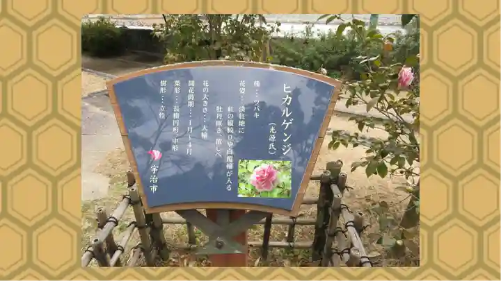 宇治神社(京都府)