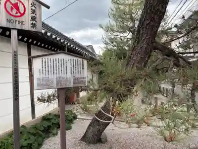 光照院門跡(京都府)