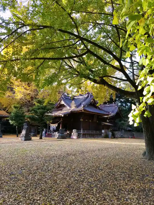 玉敷神社(埼玉県)