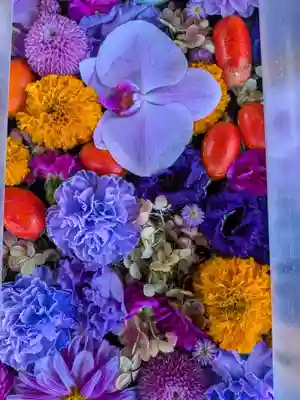 成田山深川不動堂（新勝寺東京別院）(東京都)