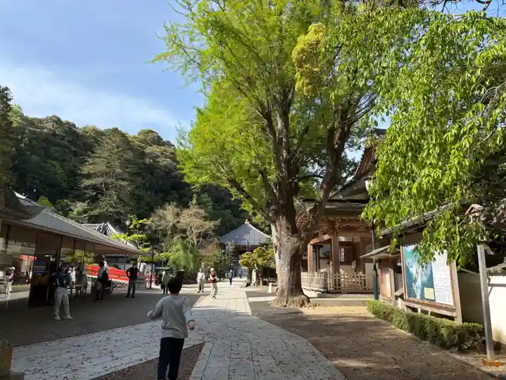 清荒神清澄寺(兵庫県)