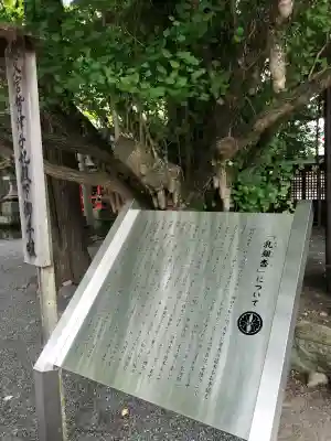 秩父神社の御朱印・アクセス情報（埼玉県秩父駅）|ホトカミ